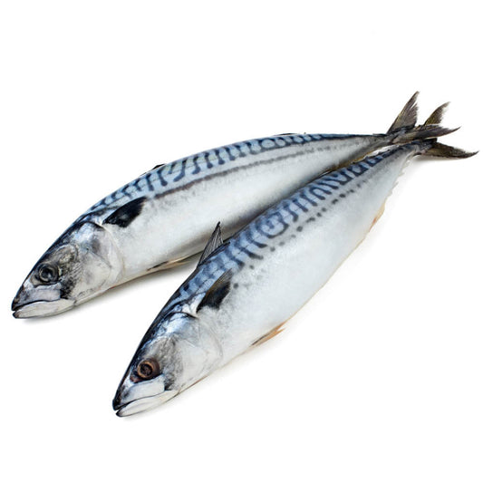 Inkokt makrill