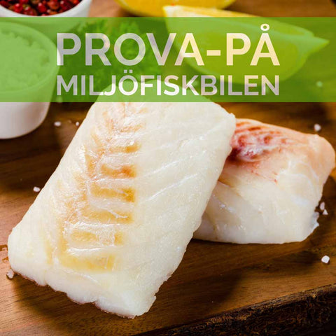 Prova-På-Miljöfiskbilen - Torsk, Vildlax och Räkor - Spara 120kr