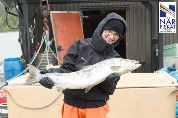 Glad fiskarhustru med vildlax från kalix